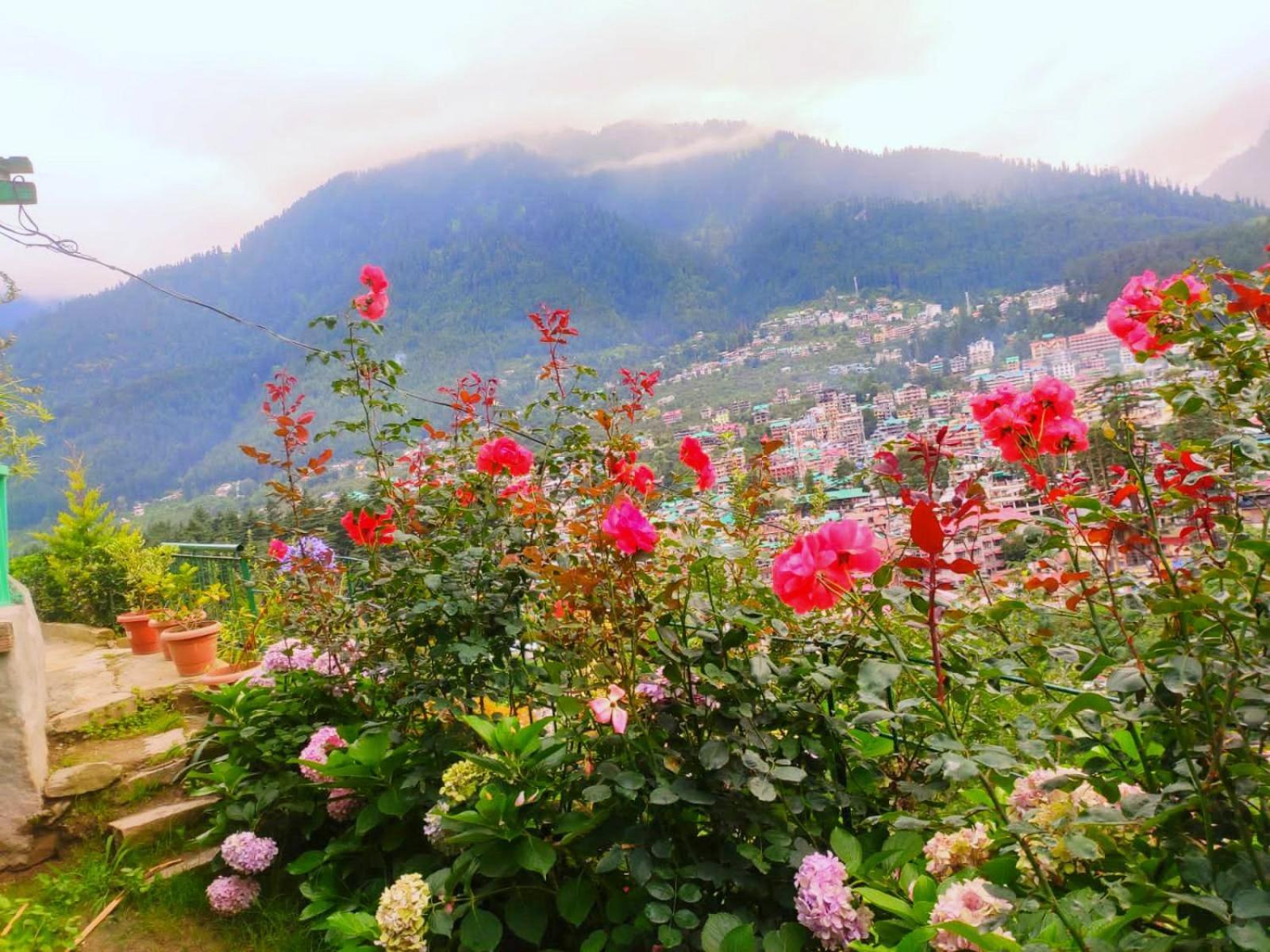 Cupidtrails Himalayan Castle Villa Manāli Rum bild